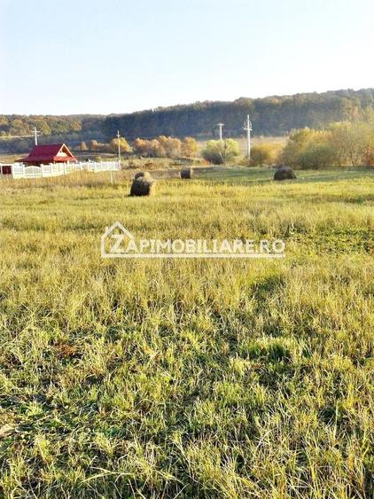 Teren Construcții intravilan de 780 mp, în Livezeni