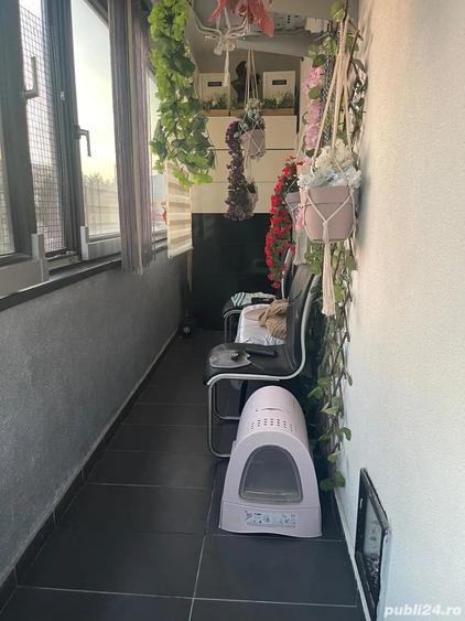 Apartament cu 3 camere decomandat în Elvila