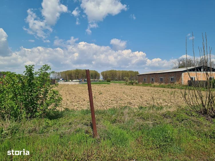Teren de 5656 mp, în Mihăești