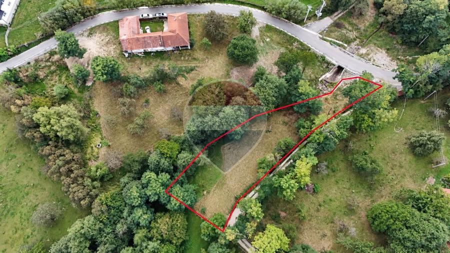 Teren Construcții intravilan de 1720 mp, în Sohodol