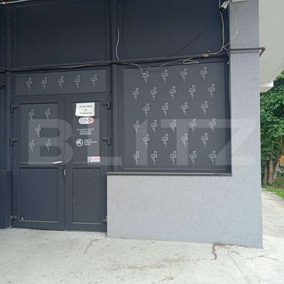 Spațiu comercial, de 55 mp, în Aleea Carpați