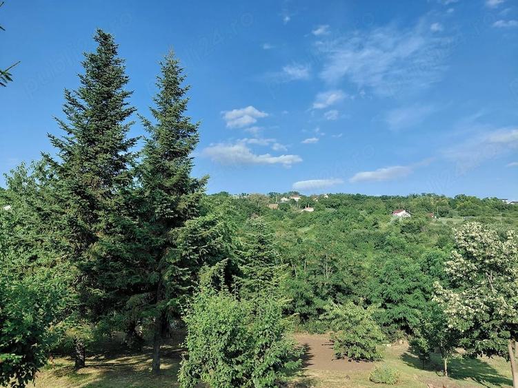 Teren de 700 mp, în Copou
