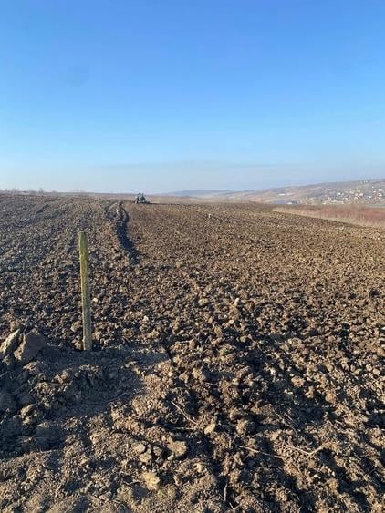 Teren agricol extravilan de 1550 mp, în Aroneanu