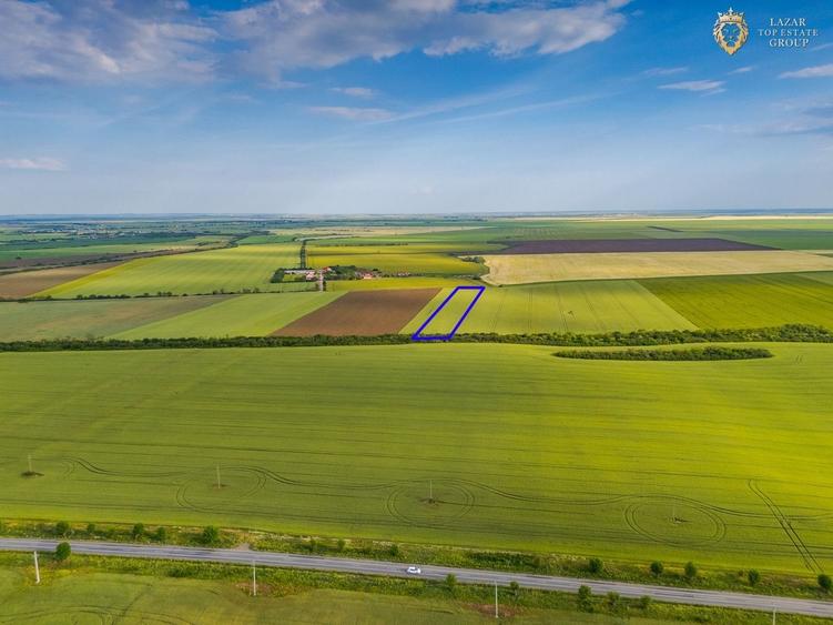 Teren agricol extravilan de 44900 mp, în Aradul Nou