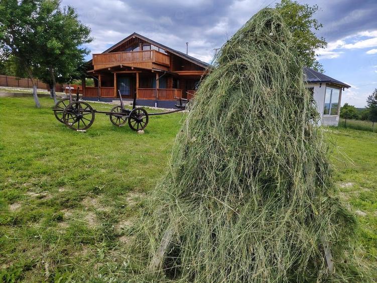 Casă cu 4 camere cu Teren 6240 Mp în Valea Mare