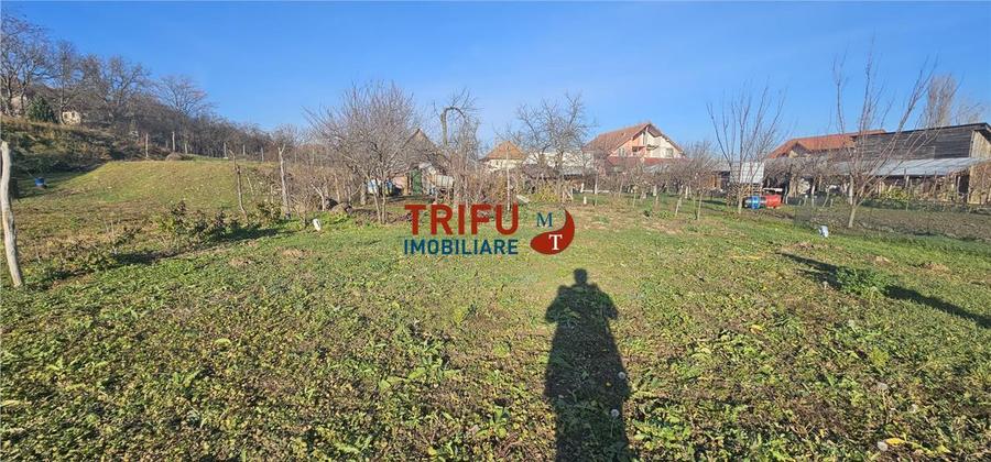 Teren Construcții intravilan de 2200 mp, în Ampoi 1