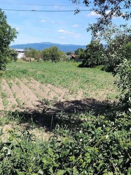 Teren de 3400 mp, în Jupa