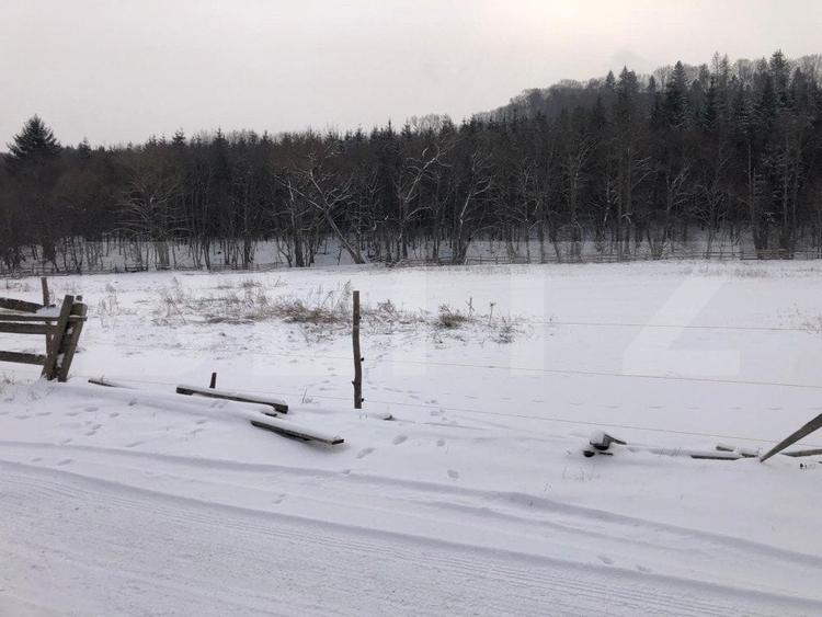 Teren Construcții intravilan de 92545 mp, în Nord-Vest