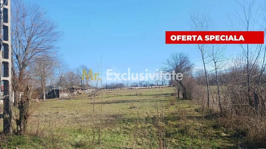 Teren de 6500 mp, în Rociu