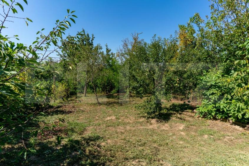 Casă individuală cu 3 camere cu Teren 4000 Mp în Rovina (Brănișca)