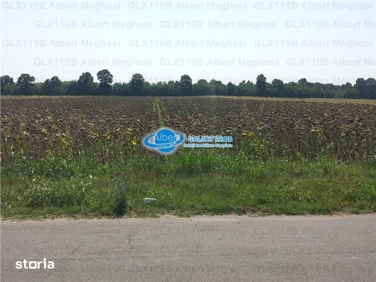 Vanzare Teren Intravilan Herasti Giurgiu 2 HA