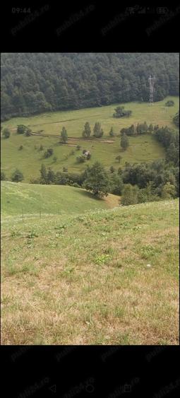 Teren de 10000 mp, în Moieciu