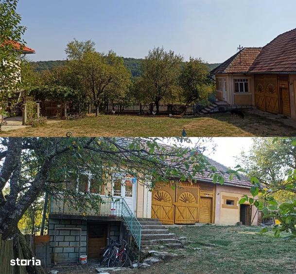 Casă cu 3 camere cu Teren 3500 Mp în Boiu Mare