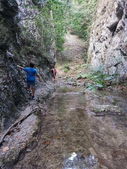 Teren de 1950 mp, în Sasca Română