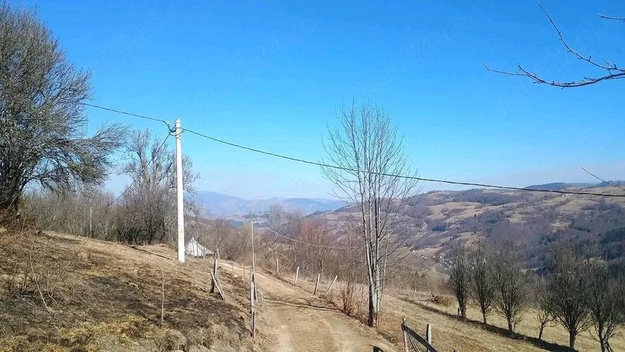 Casă cu Teren 2900 Mp în Peleș