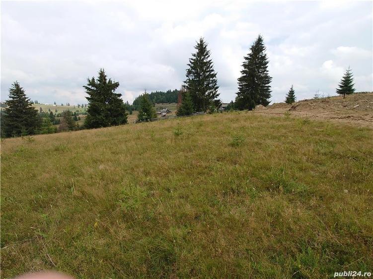 Teren de 7000 mp, în Piatra