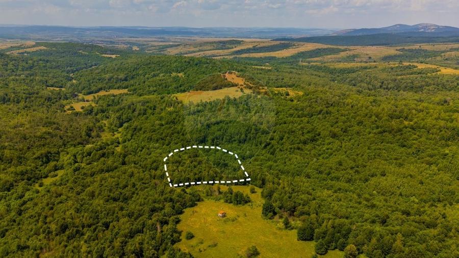 Teren Construcții intravilan de 6572 mp, în Grid
