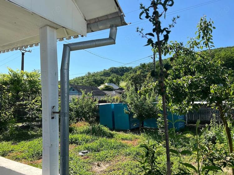 Casă cu Teren 1200 Mp în Central