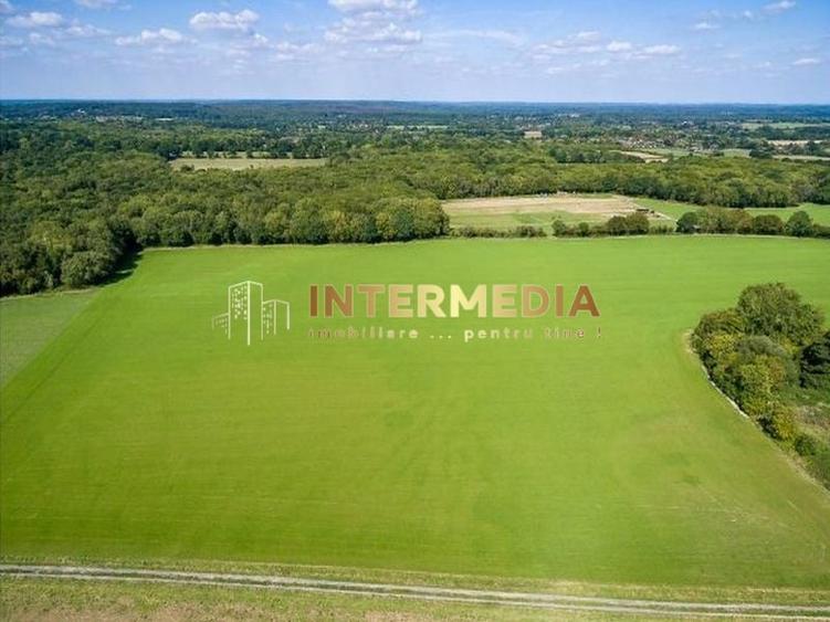 Teren Construcții intravilan de 4418 mp, în Cetate