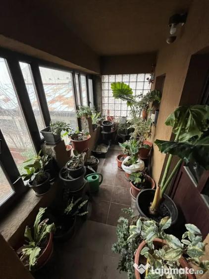 Casă cu 3 camere cu Teren 400 Mp în Malu Roșu