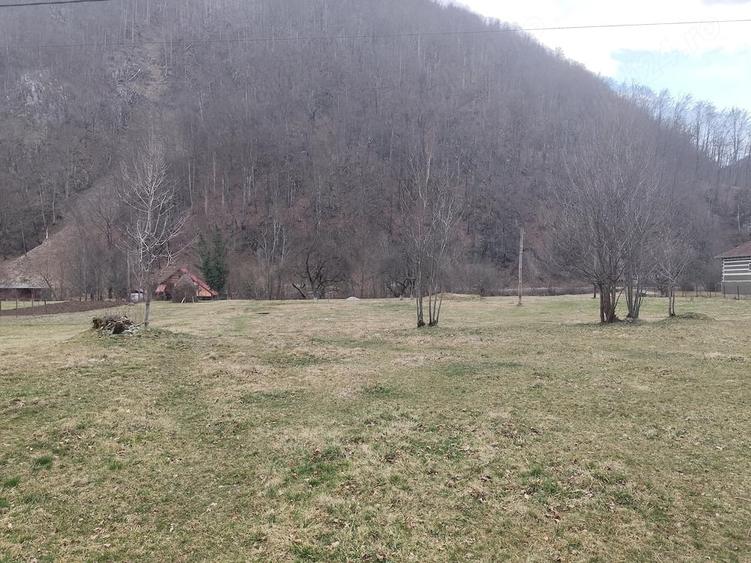 Teren de 1795 mp, în Remeți