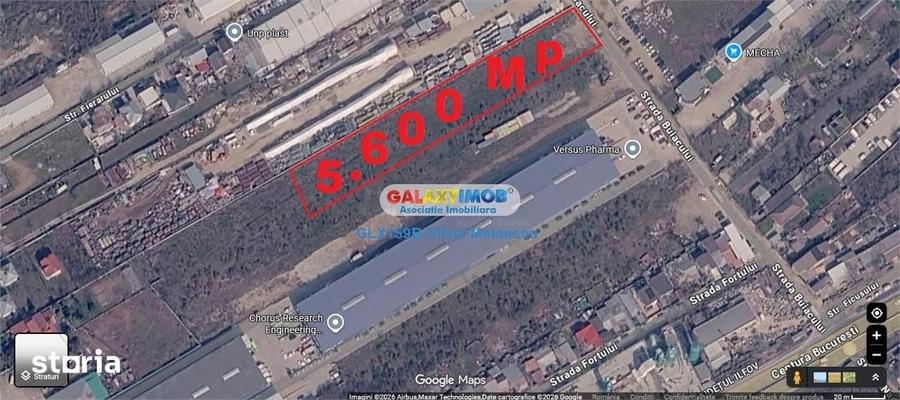 Teren de 5600 mp, în Mogoșoaia