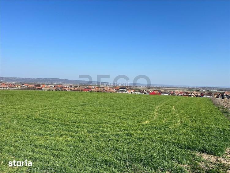 RECO Teren extravilan, zona Cheriu, 5375 mp, utilitati in zona, cu pos