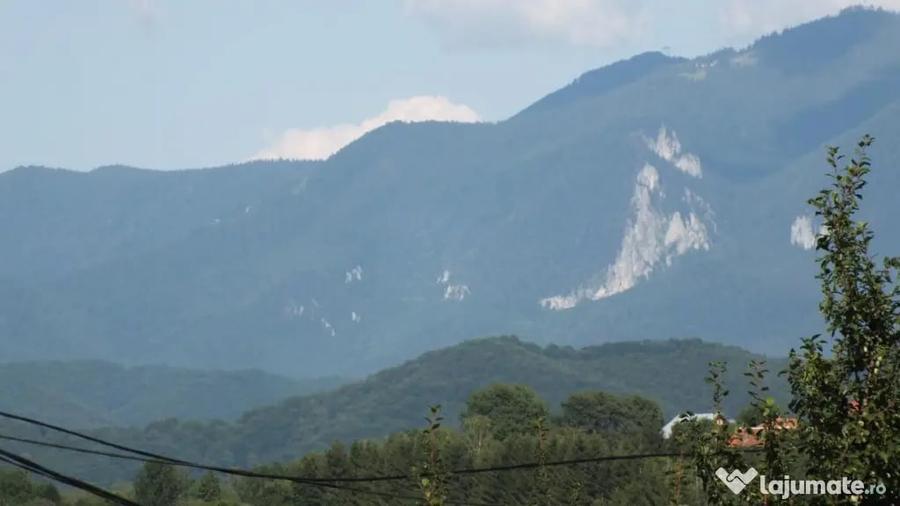 Teren în Bran