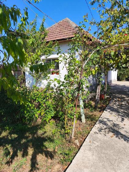 Casă cu Teren 1240 Mp în Central