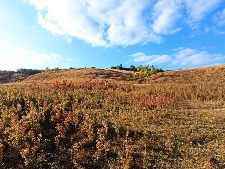 Teren de 21000 mp, în Jugureni