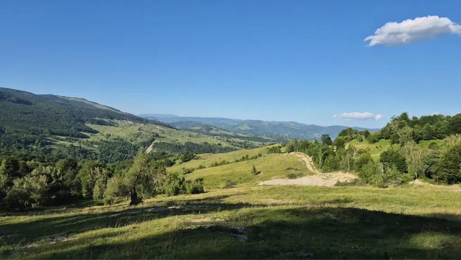 Teren de 13000 mp, în Talea