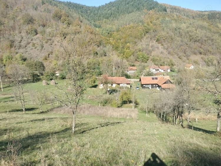 Teren de 3562 mp, în Vața de Sus