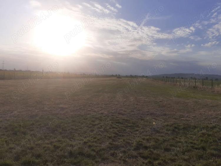 Teren de 10000 mp, în Bucov