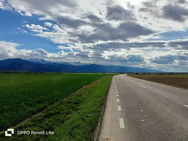 Teren de 2000 mp, în Berivoi