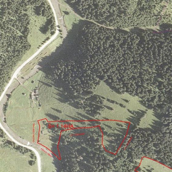 Teren de 34600 mp, în Cârlibaba