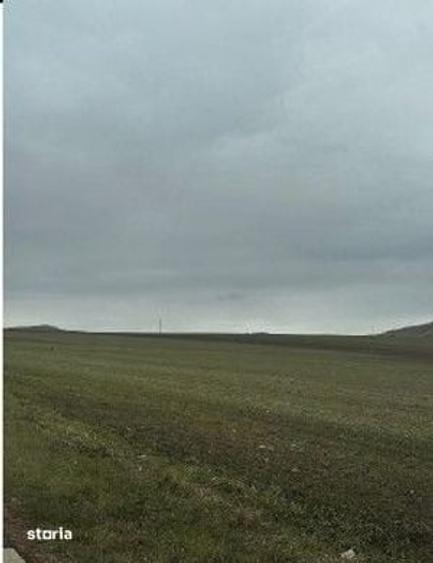 Teren de 15000 mp, în Nalbant