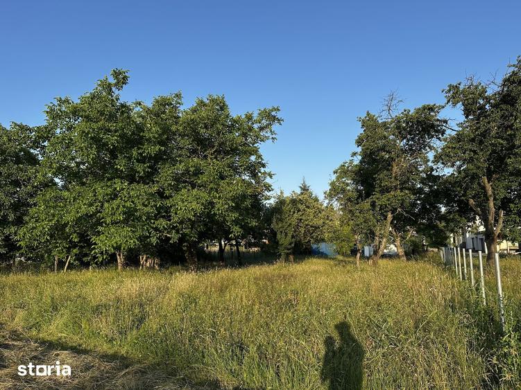 Casă cu 7 camere cu Teren 4000 Mp în Strâmba