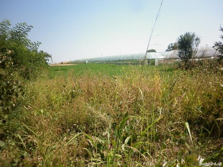 Teren de 4800 mp, în Vidra