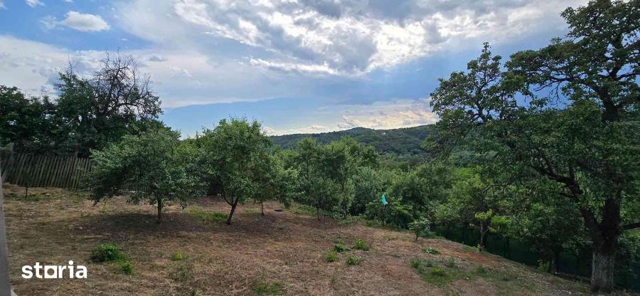 Casă cu 3 camere cu Teren 796 Mp în Vâlcea