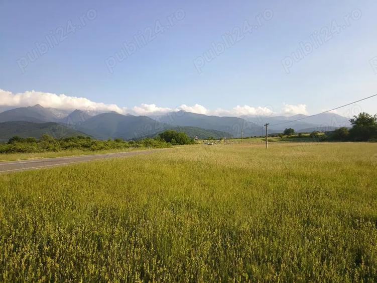 Teren de 1800 mp, în Cârțișoara