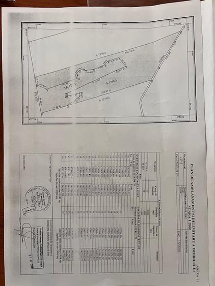 Teren agricol extravilan de 43000 mp, în Feldioara