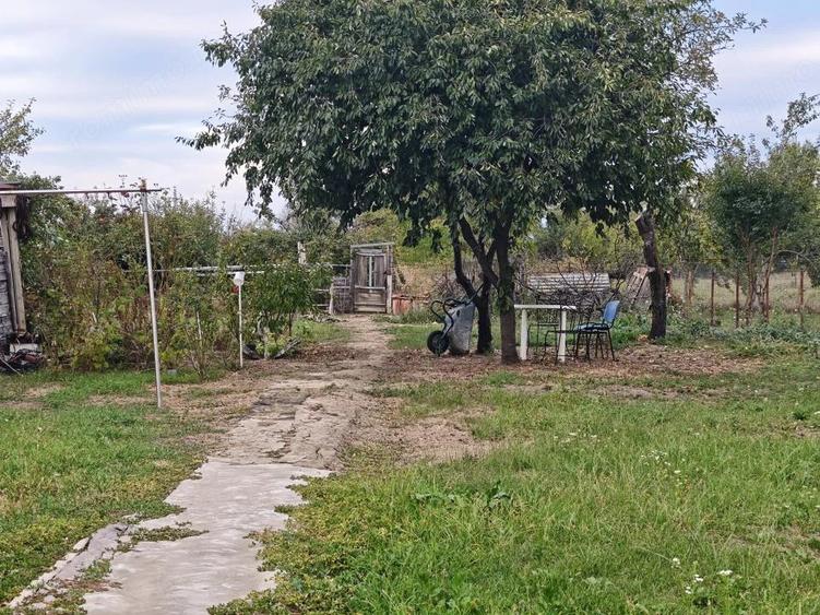 Casă cu Teren 2000 Mp în Hințești