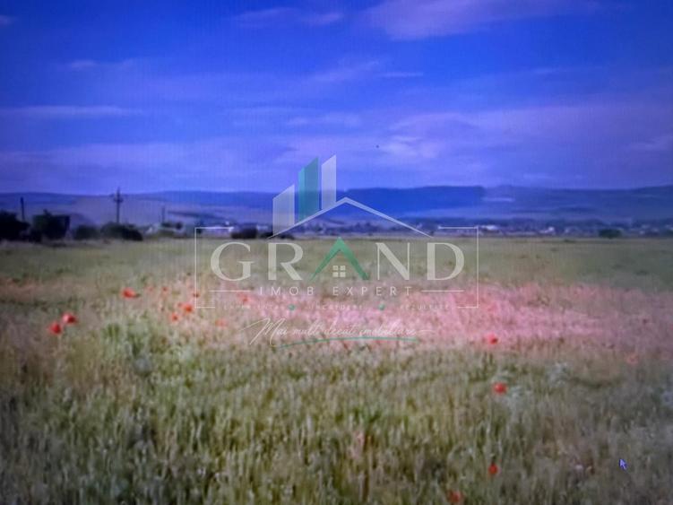 Teren agricol extravilan de 9100 mp, în Aeroport