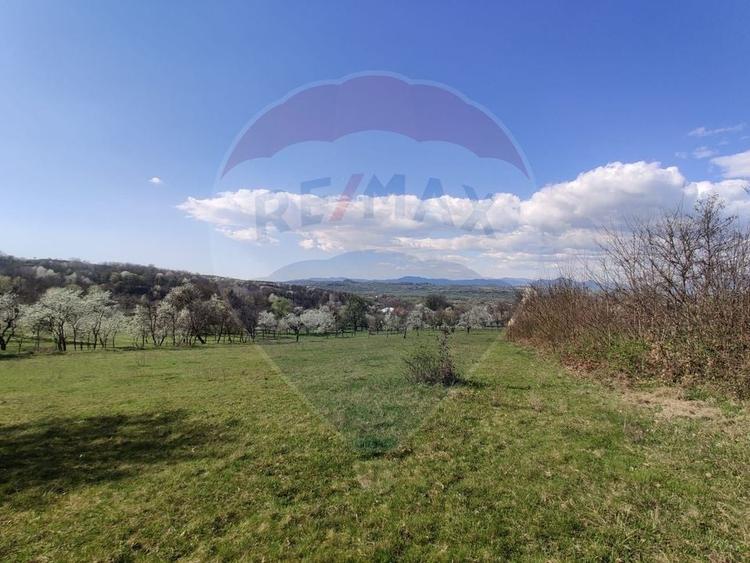 Teren Construcții intravilan de 1646 mp, în Cărbunari