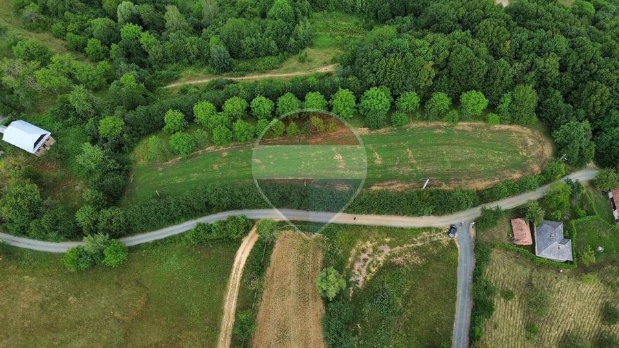 Teren Construcții intravilan de 5600 mp, în Copalnic-Mănăștur