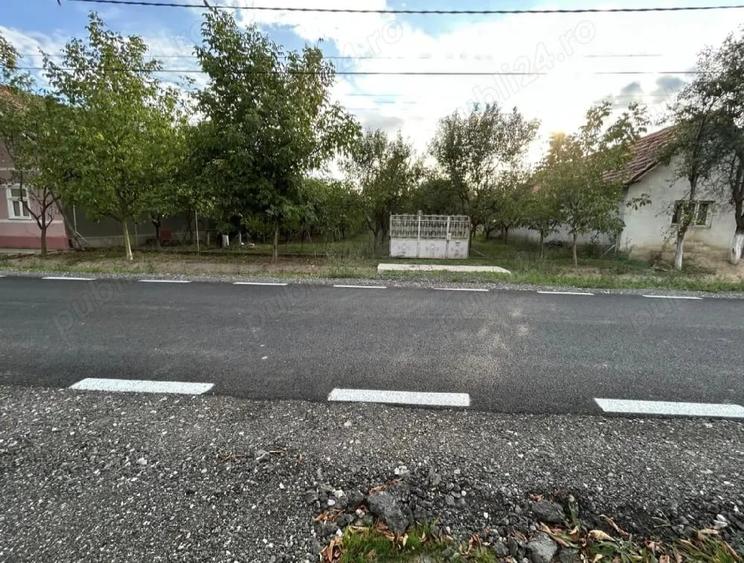 Teren de 1400 mp, în Cermei