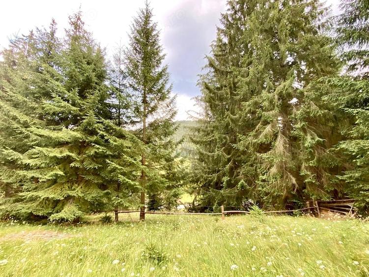 Teren de 4578 mp, în Valea Putnei