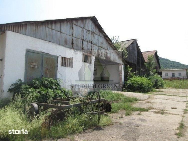 Teren de 12580 mp, în Dalboșeț