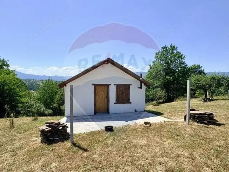 Casă cu Teren 3177 Mp în Ferești