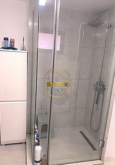 Duplex 6 camere – 161 mp utili – Curte proprie – zona pietei  Alba Iulia - 14